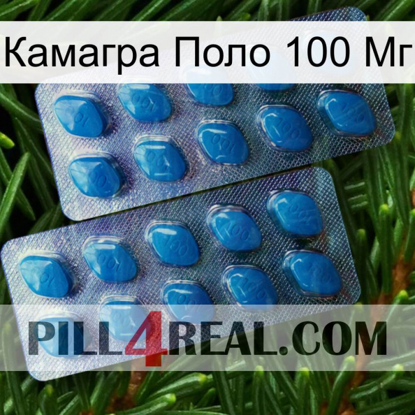 Камагра Поло 100 Мг viagra2.jpg